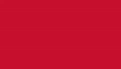 Comfort Soft® Adjustable Cat Harness with 6' Leash - Personalized Product image